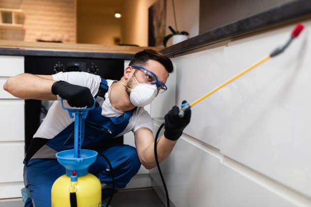 Trusted Sunset, LA Pest Control Experts