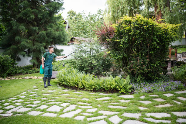 Best Pest Control Treatment  in Sunset, LA